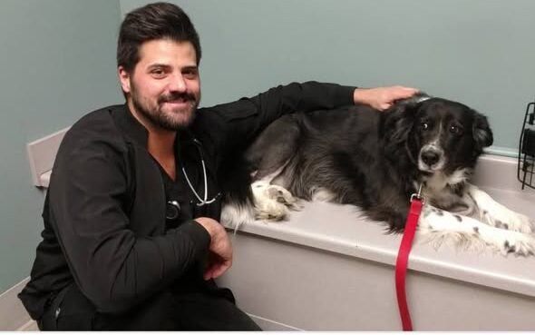 Dr. Nick Vitale Obituary, Death: In Loving Memory of Dr. Nick Vitale who Died Following Battle with Cancer